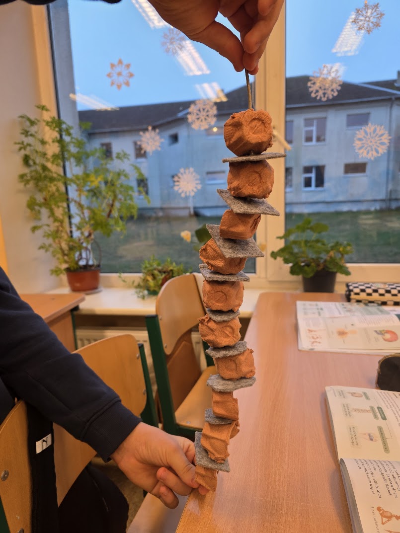 Stuburo modeliavimas