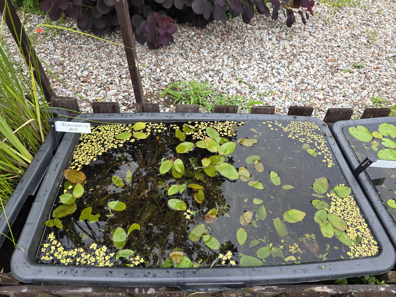 Lėtu žingsneliu į vasarą…
