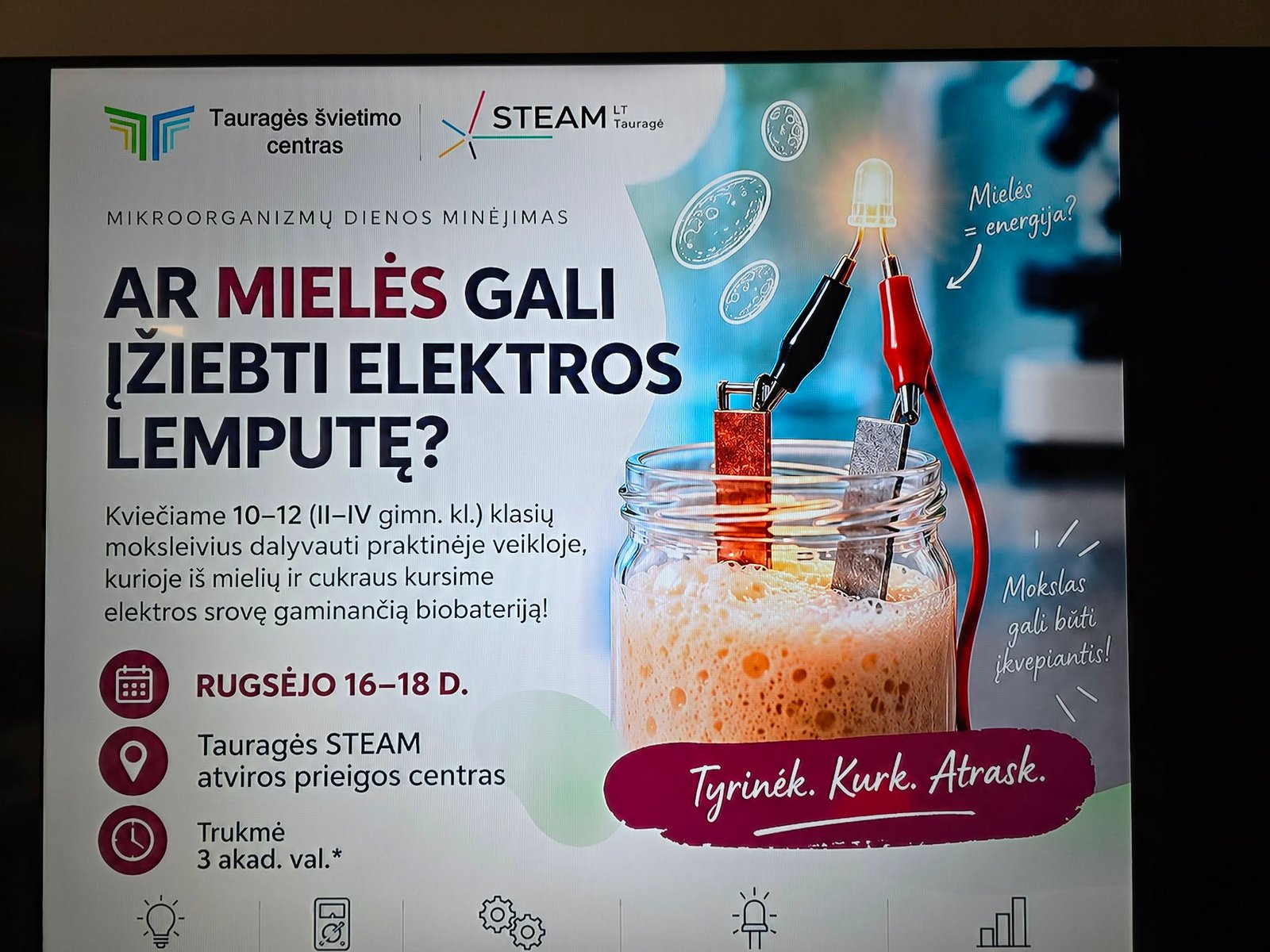 Ar mielės gali įžiebti elektros lemputę?
